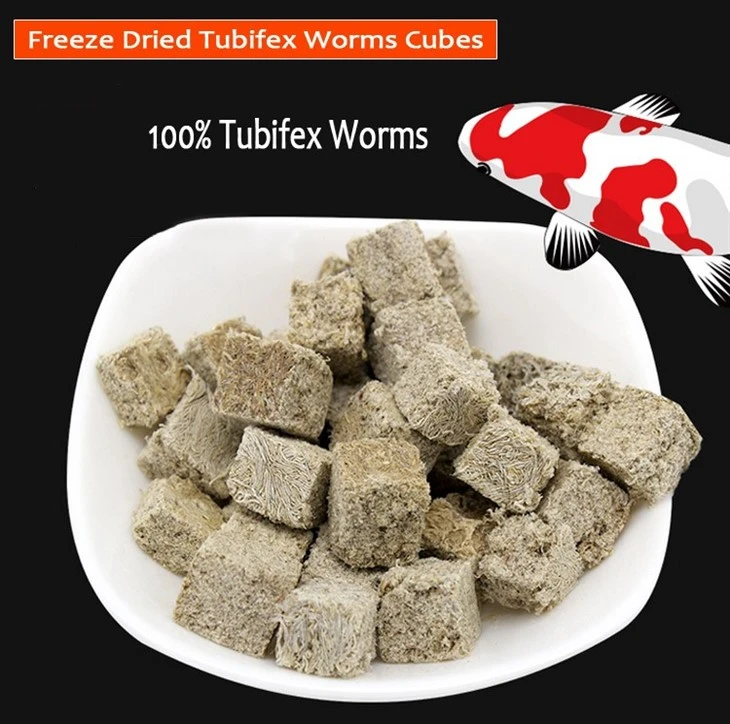 FD Tubifex Worms Food